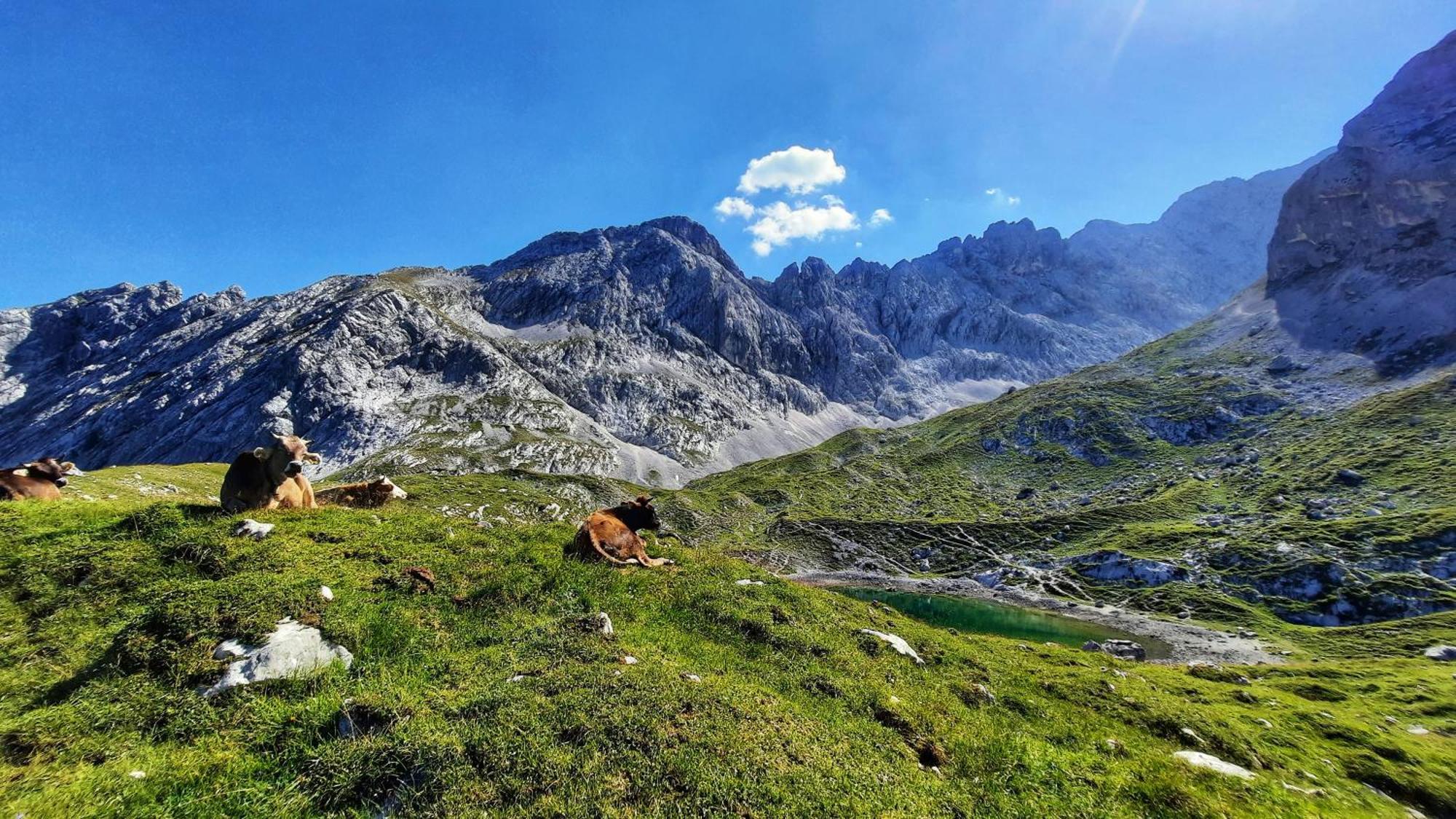 Ferienwohnung Alpspitze Грайнау Екстериор снимка