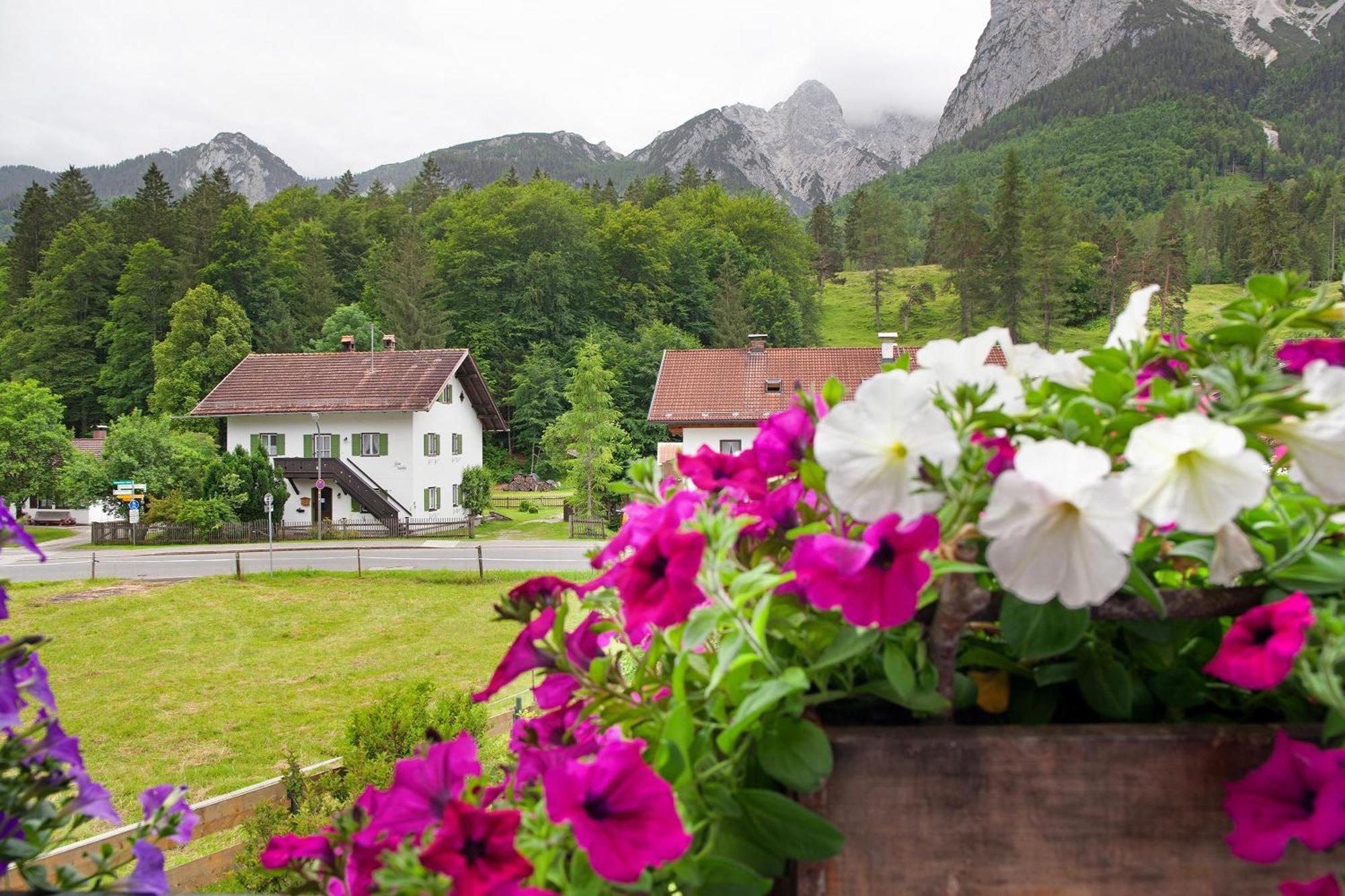 Ferienwohnung Alpspitze Грайнау Екстериор снимка